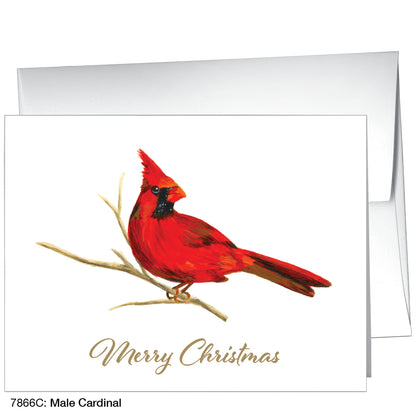 Male Cardinal, Greeting Card (7866C)