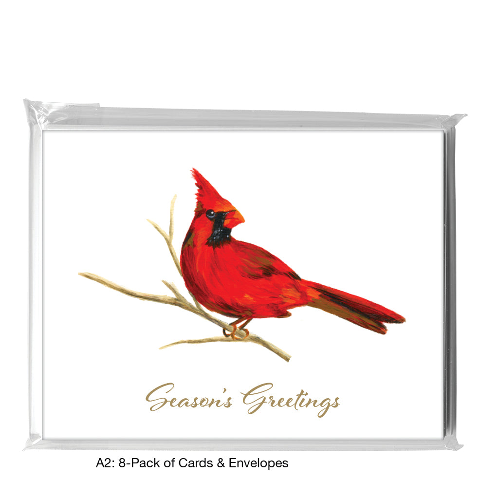Male Cardinal, Greeting Card (7866D)