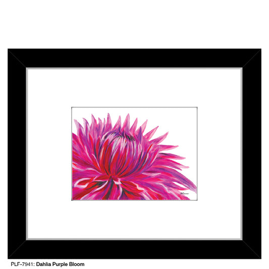 Dahlia Purple Bloom, Print (#7941)