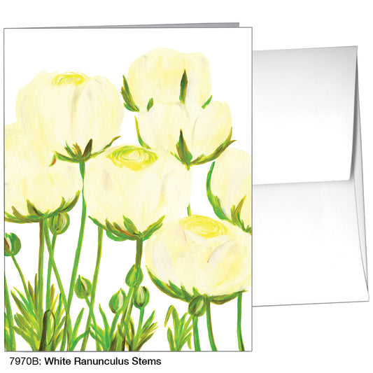 White Ranunculus Stems, Greeting Card (7970B)