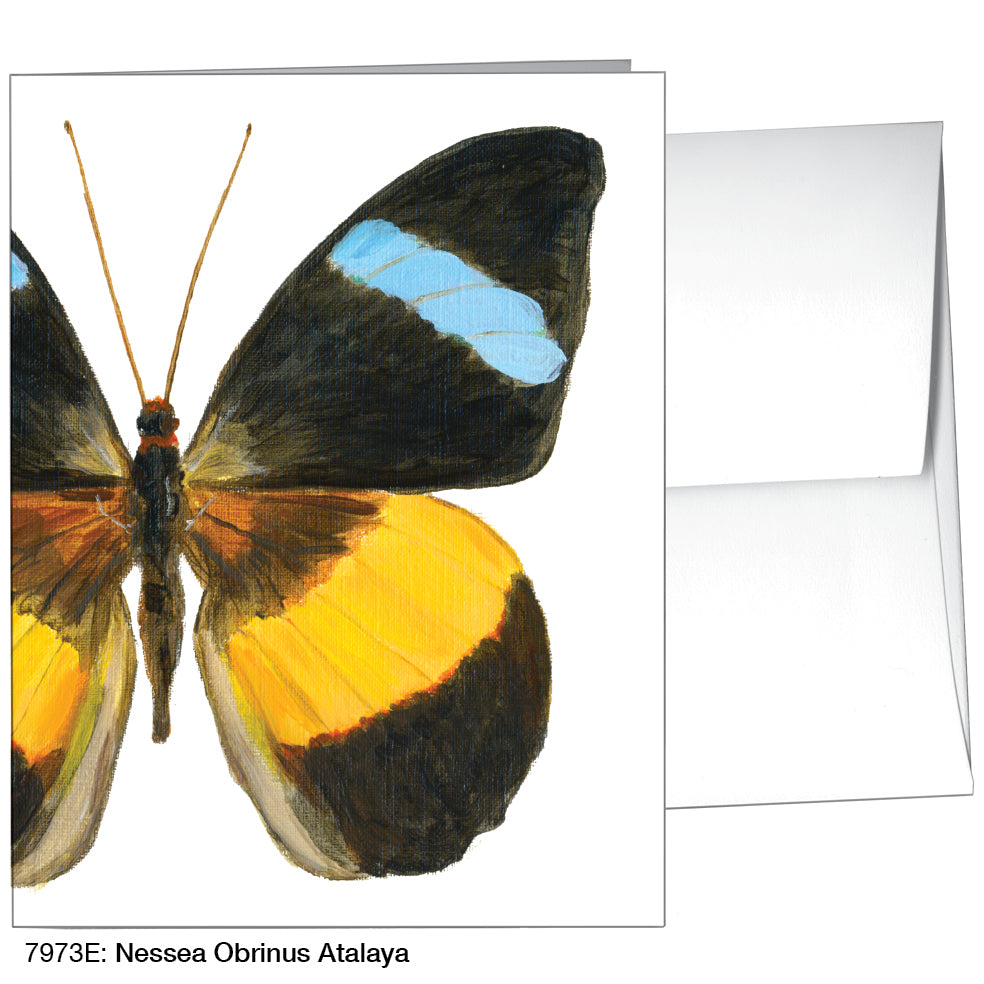 Nessea Obrinus Atalaya, Greeting Card (7973E)