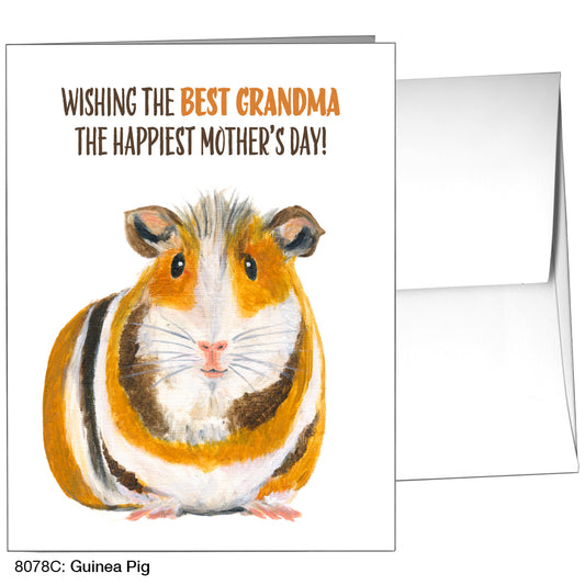 Guinea Pig, Greeting Card (8078C)