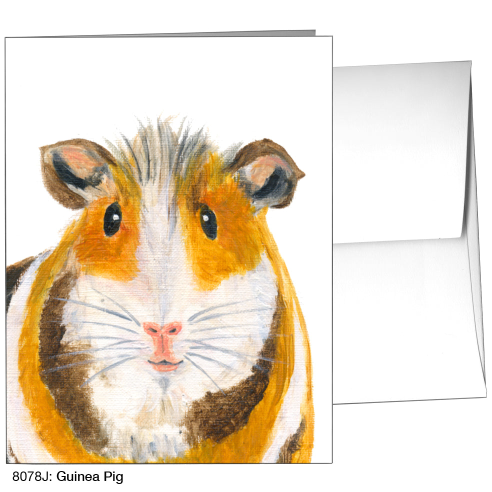 Guinea Pig, Greeting Card (8078J)