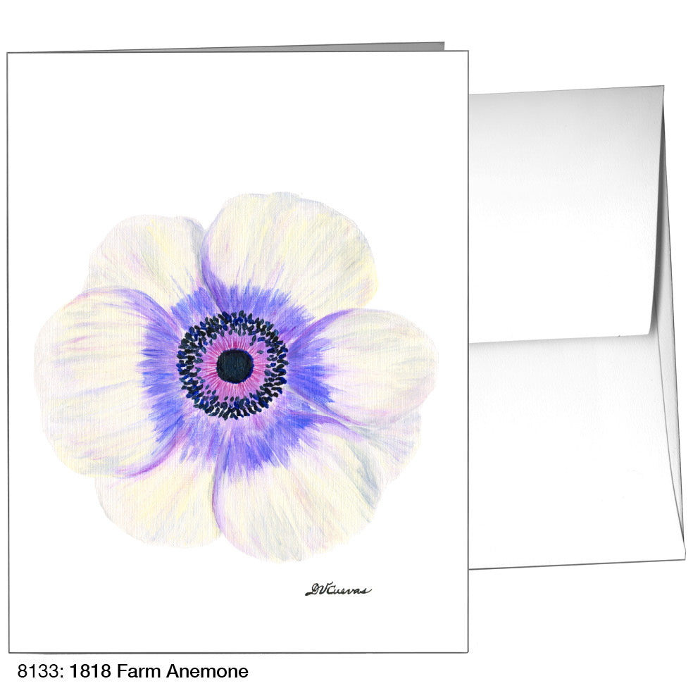 1818 Farm Anemone, Greeting Card (8133)