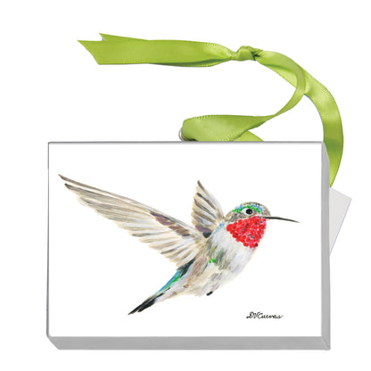 Anna's Hummingbird (MC-8213)