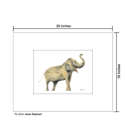 Asian Elephant, Print (#8226)