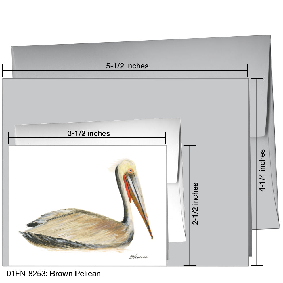 Brown Pelican, Greeting Card (8253)