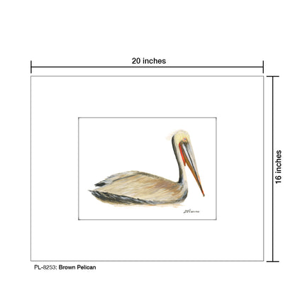 Brown Pelican, Print (#8253)