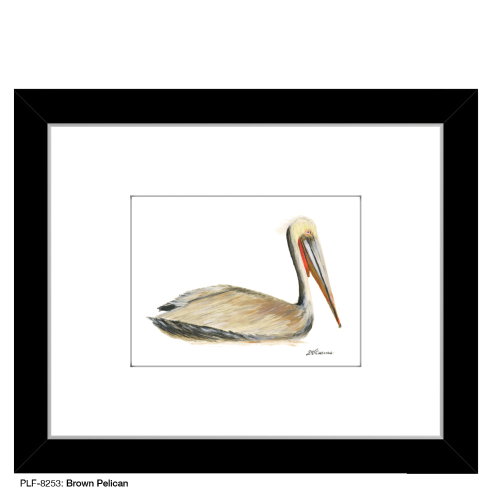 Brown Pelican, Print (#8253)