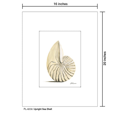Upright Sea Shell, Print (#8258)