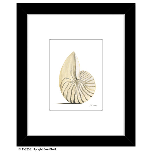 Upright Sea Shell, Print (#8258)