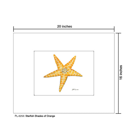 Starfish Shades Of Orange, Print (#8268)