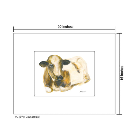 Cow at Rest, Print (#8276)