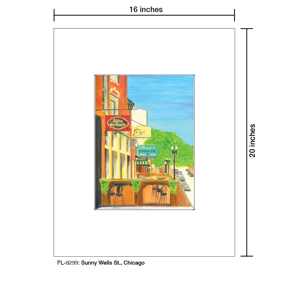 Sunny Wells St., Chicago, Print (#8299)