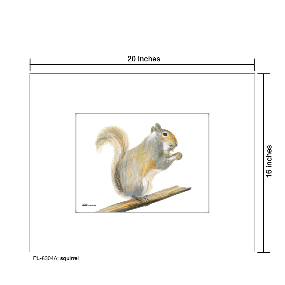 Squirrel, Print (#8304A)