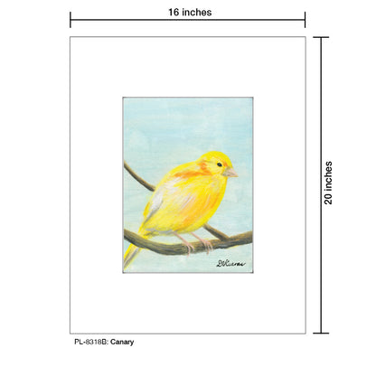 Canary, Print (#8318B)