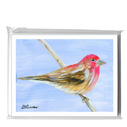 Cassin's Finch, Greeting Card (8323A)