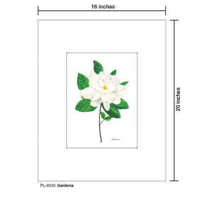 Gardenia, Print (#8339)