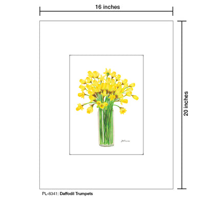 Daffodil Trumpets, Print (#8341)