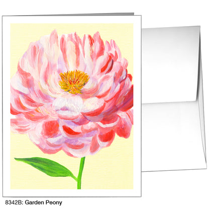 Garden Peony, Greeting Card (8342B)