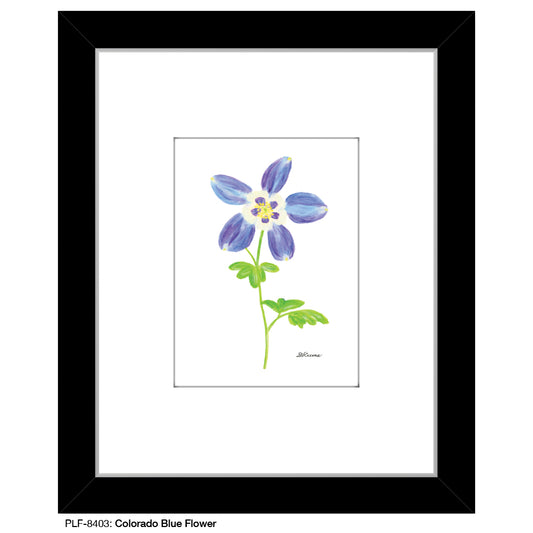 Colorado Blue Flower, Print (#8403)