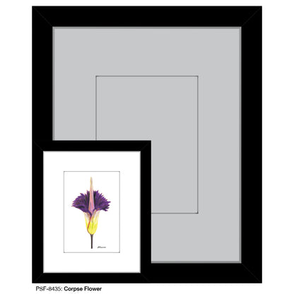 Corpse Flower, Print (#8435)