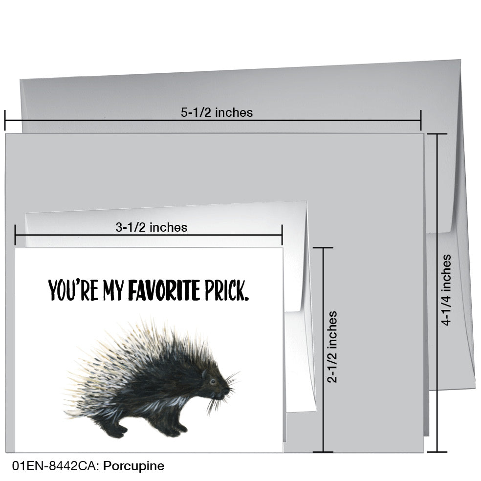 Porcupine, Greeting Card (8442CA)