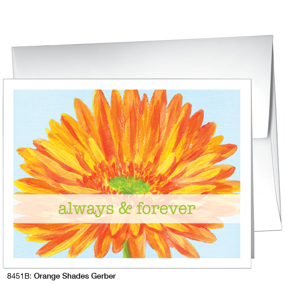 Orange Shades Gerber, Greeting Card (8451B)