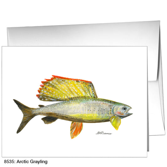 Arctic Grayling, Greeting Card (8535)