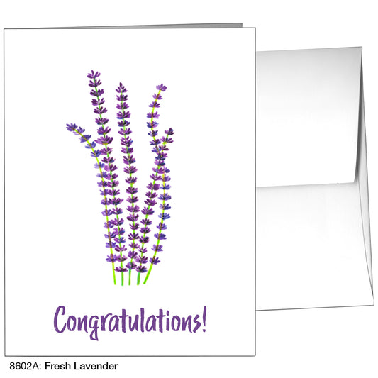 Fresh Lavender, Greeting Card (8602A)
