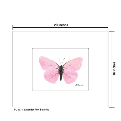 Lavender Pink Butterfly, Print (#8674)
