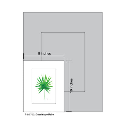 Guadalupe Palm, Print (#8703)