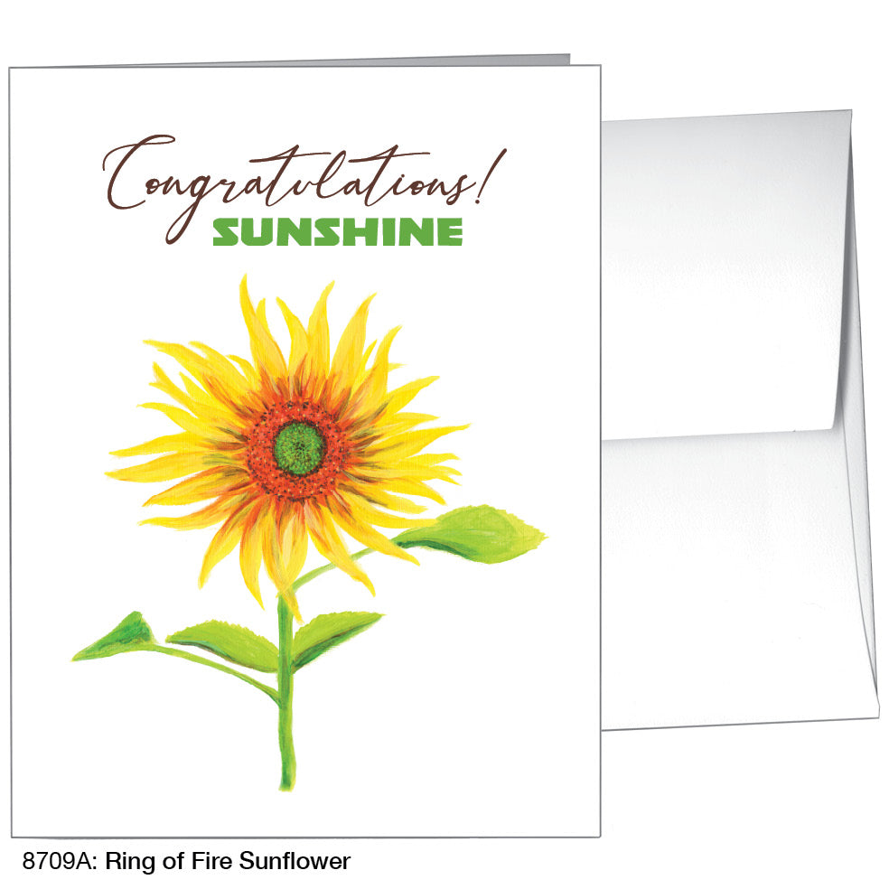 Ring of Fire Sunflower, Greeting Card (8709A)