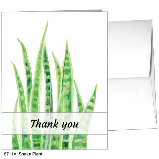 Snake Plant, Greeting Card (8711A)