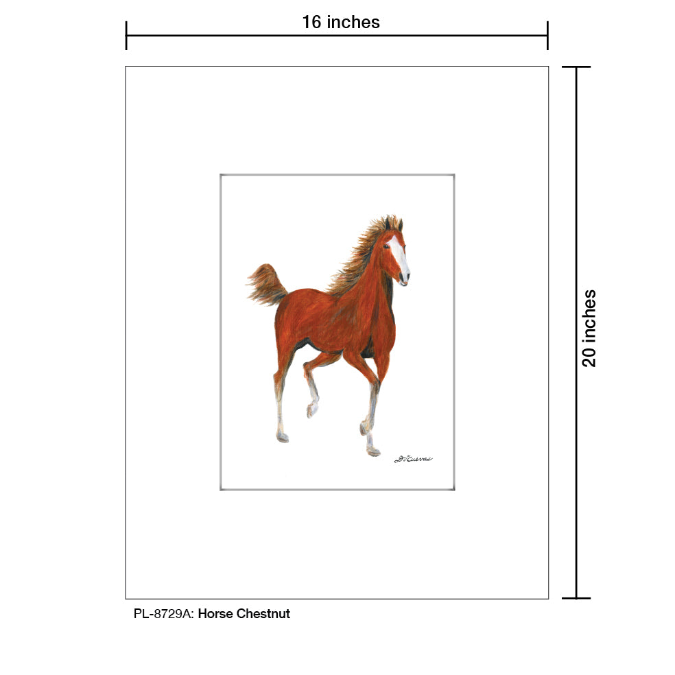 Horse Chestnut, Print (#8729A)