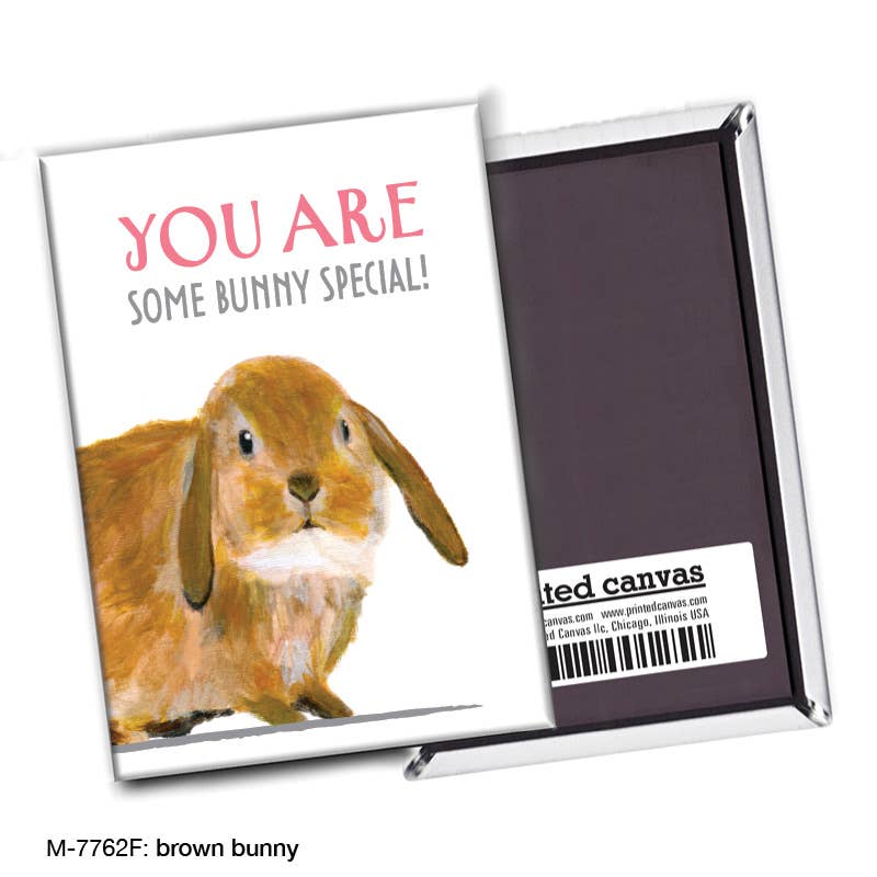 Brown Bunny, Magnet (7762F)