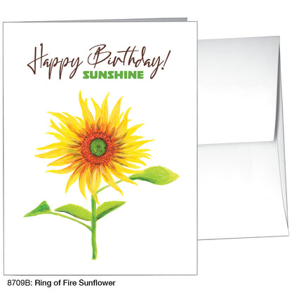 Ring of Fire Sunflower, Greeting Card (8709B)