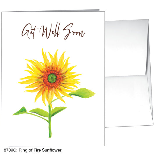 Ring of Fire Sunflower, Greeting Card (8709C)
