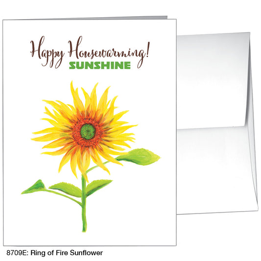 Ring of Fire Sunflower, Greeting Card (8709E)