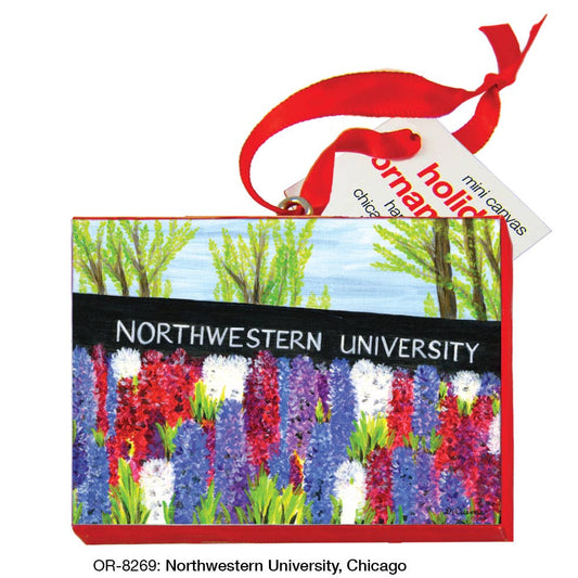 Northwestern University, Chicago, Ornament (OR-8269)